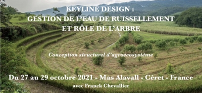 Stage Keyline Design : gestion de l’eau de ruissellement et rôle de l’arbre  (66)