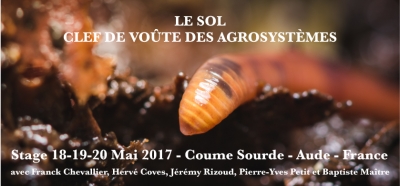  Le Sol - Clef de voûte des agrosystèmes (11)